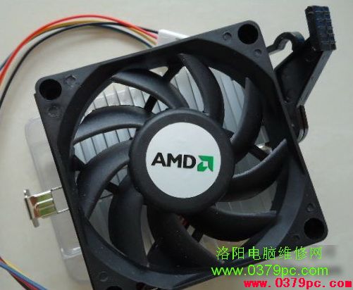 cpu AMD  Ű